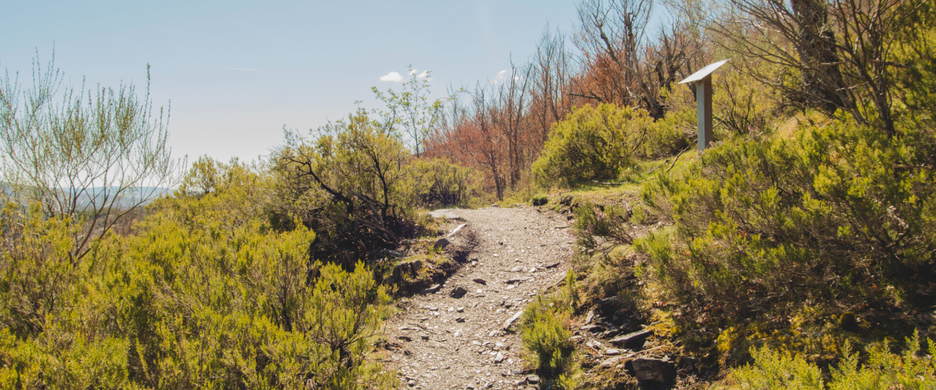 Δραστηριότητες